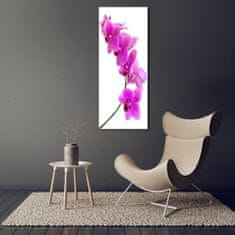 Wallmuralia Vertikální Fotoobraz na skle Růžová orchidej 70x140 cm 4 úchytky