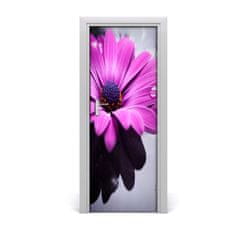 tulup.cz Samolepící fototapeta na dveře Růžová gerbera 75x205 cm