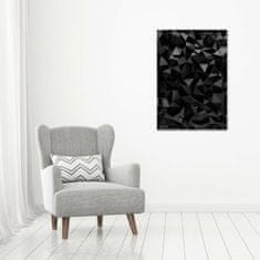 Wallmuralia Vertikální Foto obraz sklo tvrzené Abstrakce 3D 70x100 cm 2 úchytky