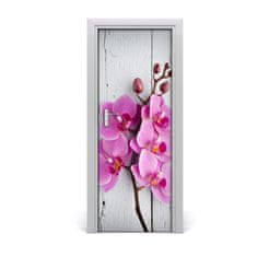 tulup.cz Fototapeta na dveře Růžová orchidej 75x205 cm