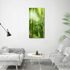 Wallmuralia Vertikální Foto obraz sklo tvrzené Deštný prales 60x120 cm 4 úchytky