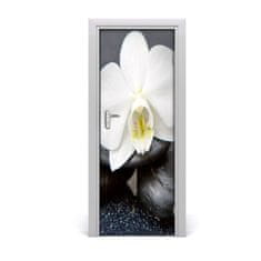 tulup.cz Fototapeta na dveře Orchidej zen 75x205 cm