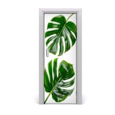 tulup.cz Fototapeta na dveře Monstera 75x205 cm