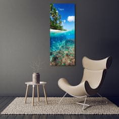 Wallmuralia Vertikální Foto obraz sklo tvrzené Korálový útes 70x140 cm 2 úchytky