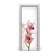 tulup.cz Fototapeta na dveře Růžová orchidej 75x205 cm