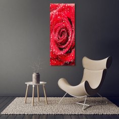 Wallmuralia Vertikální Foto obraz sklo tvrzené Červená růže 70x140 cm 4 úchytky