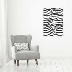 Wallmuralia Vertikální Foto obraz sklo tvrzené Zebra pozadí 70x100 cm 4 úchytky