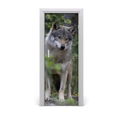 tulup.cz Samolepící fototapeta na dveře Vlk v lese 75x205 cm
