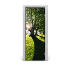 tulup.cz Fototapeta na dveře park 75x205 cm