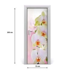 tulup.cz Samolepící fototapeta na dveře Bílá orchidej 75x205 cm