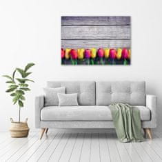 Wallmuralia Foto obraz skleněný horizontální Tulipány na stromě 100x70 cm 2 úchytky