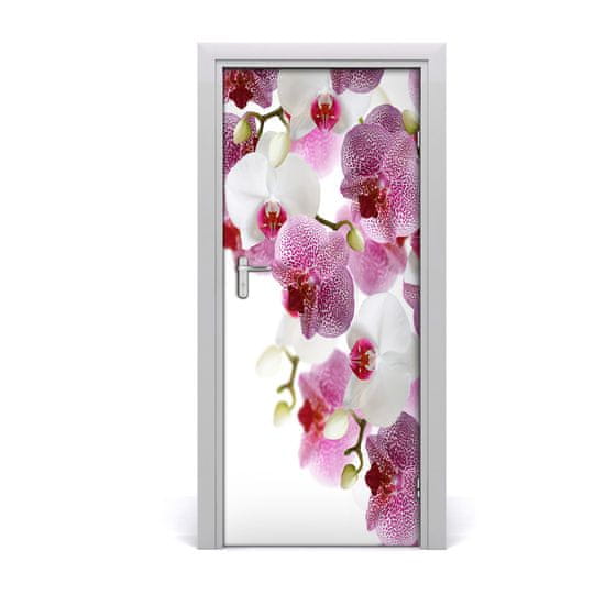 tulup.cz Fototapeta na dveře Orchidej