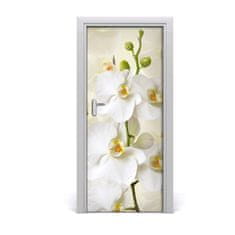 tulup.cz Fototapeta na dveře Bílá orchidej 85x205 cm