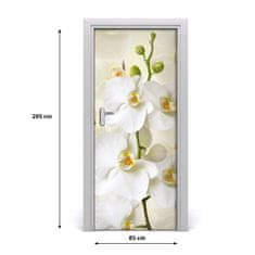 tulup.cz Fototapeta na dveře Bílá orchidej 85x205 cm