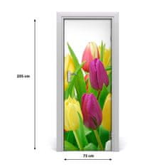 tulup.cz Fototapeta na dveře Květy tulipány 75x205 cm