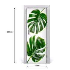 tulup.cz Fototapeta na dveře Monstera 75x205 cm