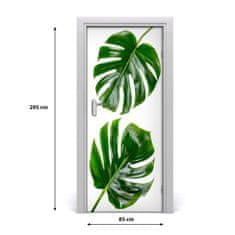 tulup.cz Fototapeta na dveře Monstera 85x205 cm