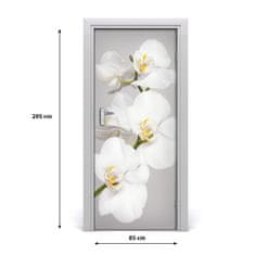 tulup.cz Fototapeta na dveře Bílá orchidej 85x205 cm