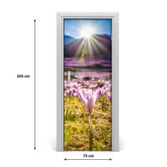 tulup.cz Fototapeta na dveře samolepící Krokusy v horách 75x205 cm