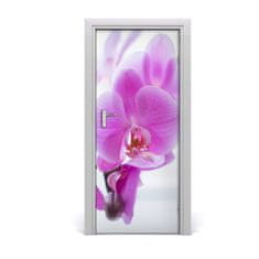 tulup.cz Fototapeta na dveře Růžová orchidej 85x205 cm