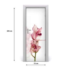 tulup.cz Fototapeta na dveře Růžová orchidej 75x205 cm