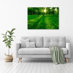 Wallmuralia Foto obraz skleněný horizontální Tráva v parku 100x70 cm 2 úchytky