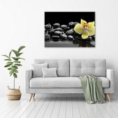 Wallmuralia Foto obraz canvas Orchidej 100x70 cm