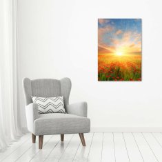 Wallmuralia Vertikální Foto obraz sklo tvrzené Pole máků 70x100 cm 4 úchytky