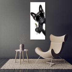 Wallmuralia Vertikální Foto obraz fotografie na skle Pes s martini 50x125 cm 4 úchytky