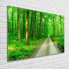 Wallmuralia Foto obraz skleněný horizontální Stromy v lese 100x70 cm 4 úchytky