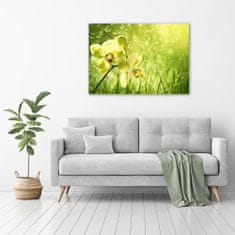 Wallmuralia Foto obraz skleněný horizontální Orchidej 100x70 cm 4 úchytky