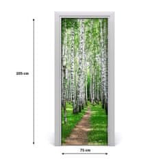 tulup.cz Fototapeta na dveře břízový les 75x205 cm