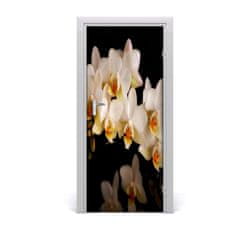 tulup.cz Fototapeta samolepící Orchidej 85x205 cm