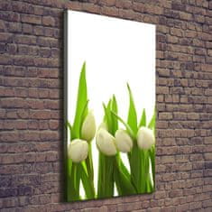 Wallmuralia Foto-obraz canvas do obýváku Bílé tulipány 70x140 cm