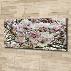 Wallmuralia Foto-obraz canvas do obýváku Květiny magnolie 125x50 cm