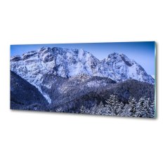 Wallmuralia Panel do kuchyně Gievont Tatry 125x50 cm