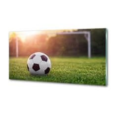 Wallmuralia Dekorační panel sklo Fotbal 100x50 cm