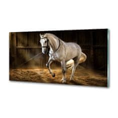 Wallmuralia Panel do kuchyně Bílý kůň ve stáji 120x60 cm