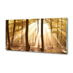 Wallmuralia Dekorační panel sklo Podzimní les 100x50 cm