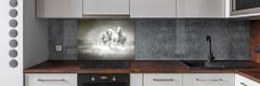 Wallmuralia Dekorační panel sklo Bílí koně 100x70 cm