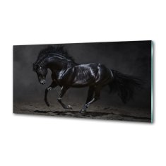 Wallmuralia Dekorační panel sklo Černý kůň 100x70 cm