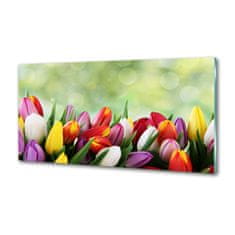 Wallmuralia Panel do kuchyně Barevné tulipány 125x50 cm