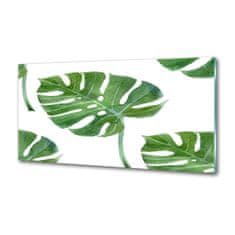 Wallmuralia Skleněný panel do kuchynské linky Monstera 100x50 cm