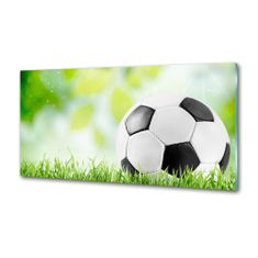 Wallmuralia Dekorační panel sklo Fotbal 100x50 cm