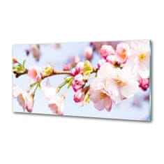 Wallmuralia Dekorační panel sklo Květy višně 100x50 cm