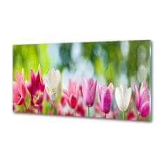 Wallmuralia Skleněný panel do kuchynské linky Tulipány 120x60 cm