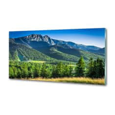 Wallmuralia Panel do kuchyně Skokanský můstek Tatry 100x50 cm