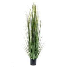 Petromila Emerald Umělá obilná tráva 150 cm 