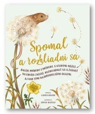 Laura Brand: Spomaľ a rozhliadni sa