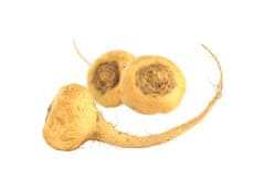 Blendea Maca 4 druhy BIO Organic, 100% rostlinné, 90 kapslí